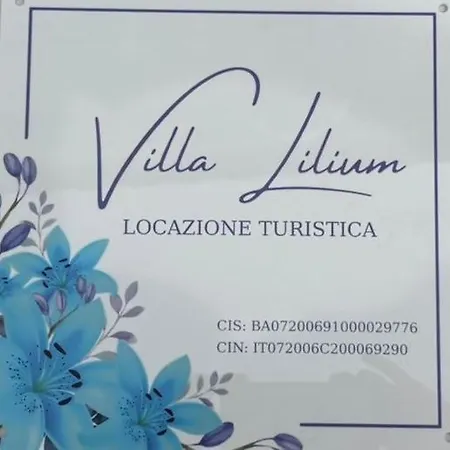 Lilium * バーリ